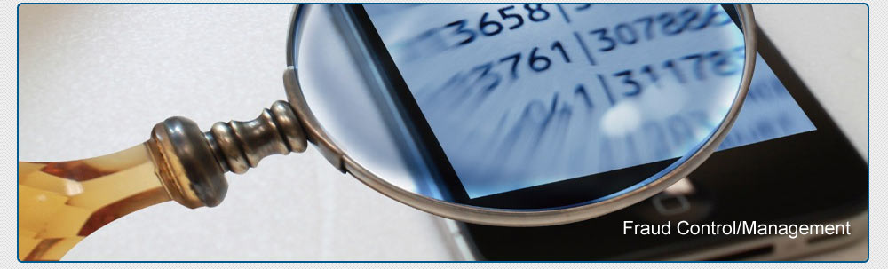 Fraud Control/Management